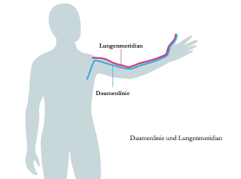 lungenmeridian